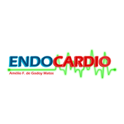 2011 Endocardio